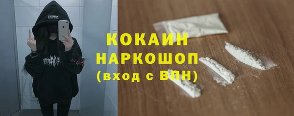 стаф Алексин