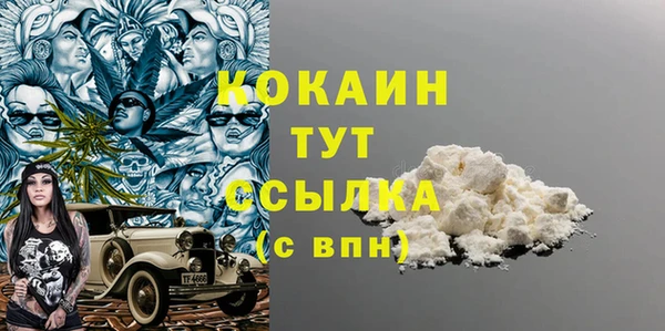 стаф Алексин